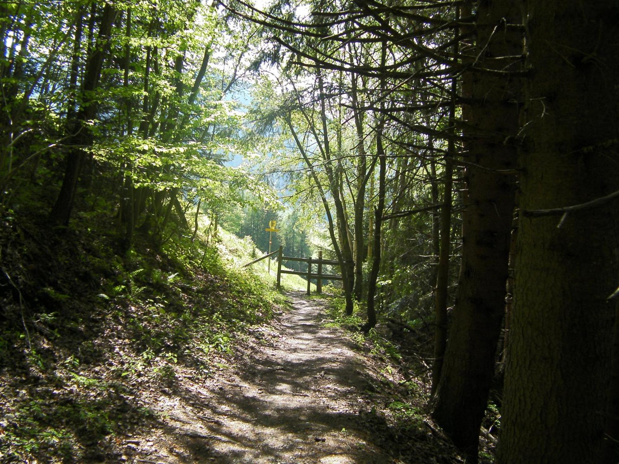Haus Stablerkraemer Maria Alm am Steinernen Meer Esterno foto